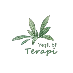 Yeşil Bi Terapi | Bitki Bakımı